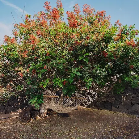 Marina Deluxe & Pool Playa Blanca (Lanzarote)