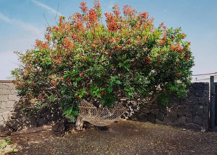 Marina Deluxe&spa Pool Playa Blanca (Lanzarote)
